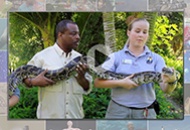 Video Field Trips with LeVar Burton