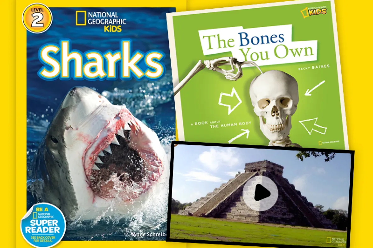 A collage of popular books and videos for kids