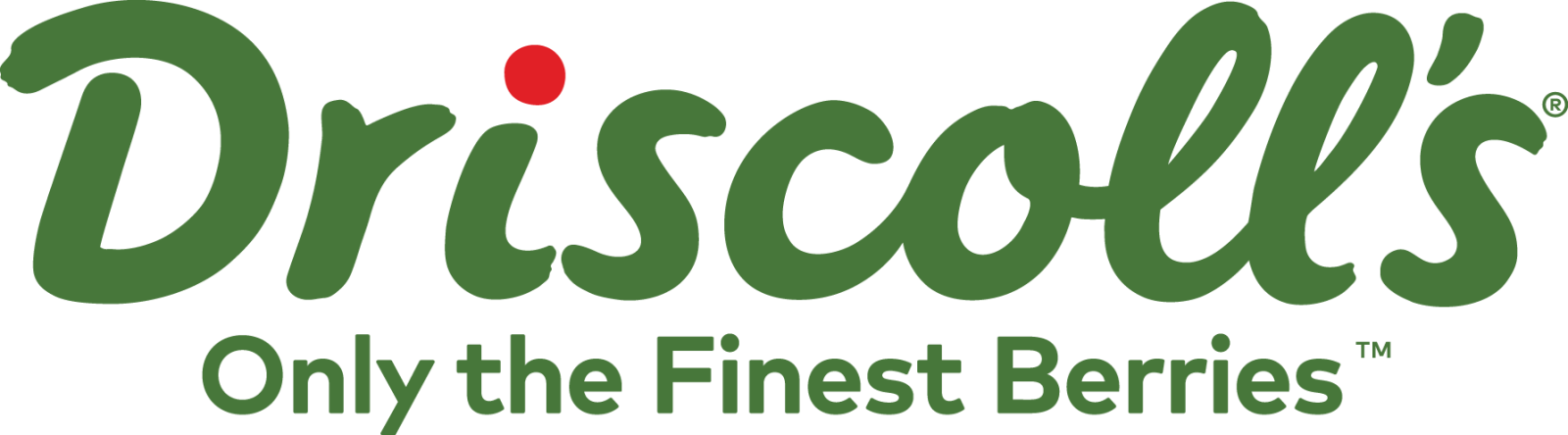 Driscoll's full color logo